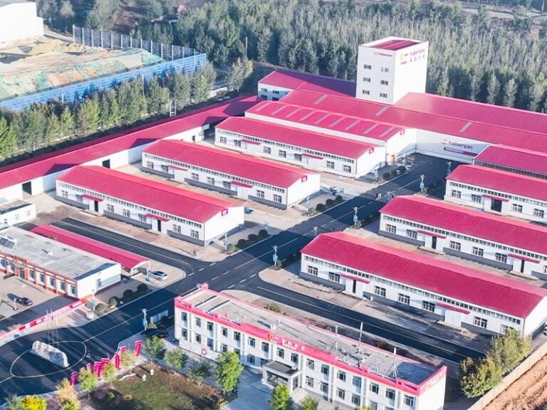 Cat litter super factory pictures