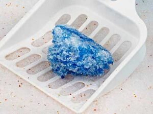 crystal-cat-litter-Clumping-Granules.jpg