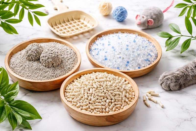 A comparison of the best cat litter types in 2026, including tofu, bentonite, and crystal litter, highlighting differences in odor control, clumping, and maintenance.
