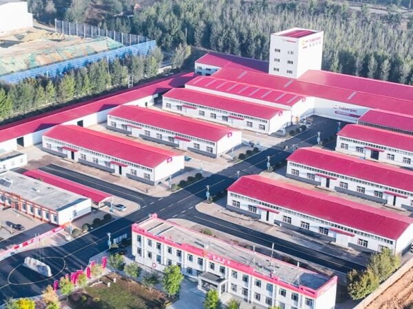 Haisen Super Cat Litter Factory